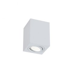 Потолочный светильник Maytoni Alfa C017CL-01W