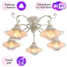 Люстра потолочная Arte Lamp 7 с поддержкой Алиса A4577PL-5WG-A