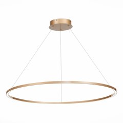 Подвесная светодиодная люстра St Luce Down ST605.243.46