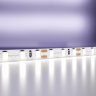5м. Светодиодная лента холодного цвета 6000К, 9,6W, 12V, 60LED, IP20 Led strip 20012