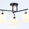 Потолочный светильник Traditional Ambrella light TR9493
