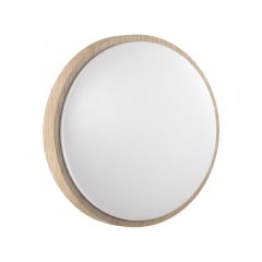 Настенно-потолочный светильник Sonex Losta 7607/AL