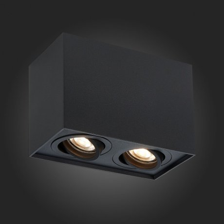 Накладной точечный поворотный светильник ST-Luce ST109.407.02