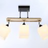 Потолочный светильник Traditional Ambrella light TR9507
