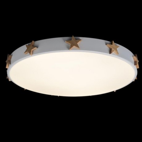 Потолочный светодиодный светильник Axel Loft It 10006/36 White