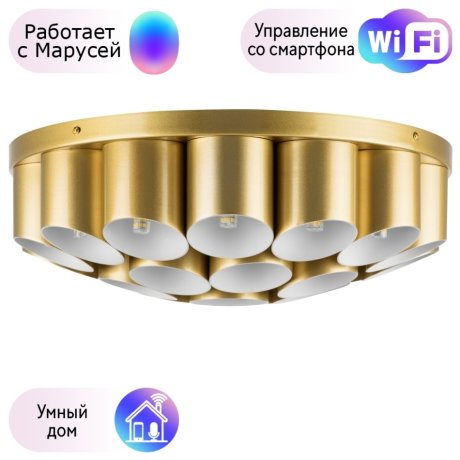 Потолочный светильник Lightstar с поддержкой Маруся Siena 720222