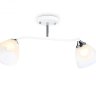 Потолочный светильник Traditional Ambrella light TR303001