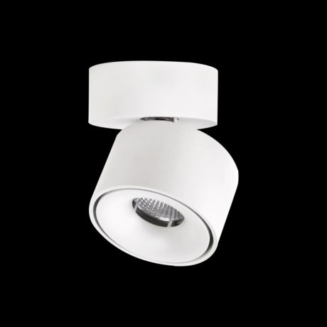 Накладной поворотный светодиодный светильник Citilux Стамп CL558010N