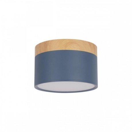 Накладной светодиодный светильник Loft IT Grape 10162 Blue