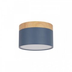 Накладной светодиодный светильник Loft IT Grape 10162 Blue