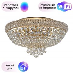 Потолочный светильник Dio DArte Elite с поддержкой Маруся Bari E 1.2.45.100 G-М