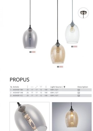 Подвесной светильник Arte Lamp Propus A4344SP-1BK