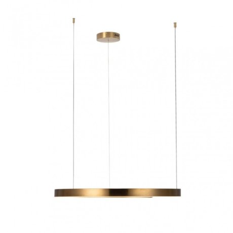 Светильник подвесной светодиодный Loft It Ring 10013L