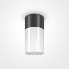 Накладной светильник Willis Maytoni O418CL-01B