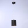 Подвесной светильник Ambrella light TECHNO SPOT TN5125