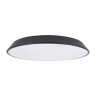 Потолочный светодиодный светильник Loft IT Brim 10226 Black