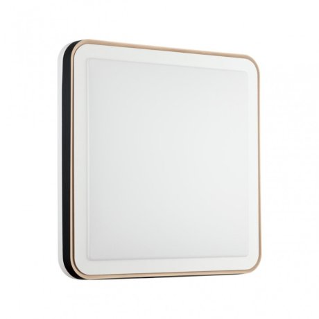 Настенно-потолочный светильник с пультом ДУ Sonex Akuna 7621/DL