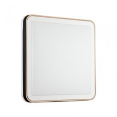 Настенно-потолочный светильник с пультом ДУ Sonex  Akuna 7621/DL