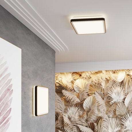 Настенно-потолочный светильник с пультом ДУ Sonex Akuna 7621/DL