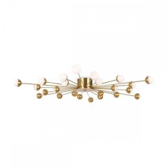 Потолочная люстра Freya Celebrity FR5242CL-24BS