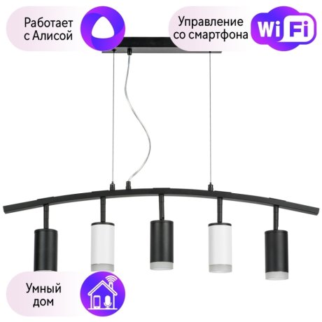 LR7353733620 Подвесной светильник Rullo Lightstar с поддержкой Алисы, (комплект из 571735+214437-3+214436-2+202430-5)