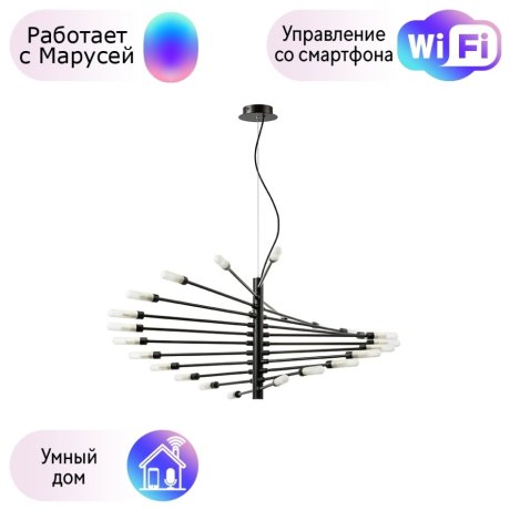 Подвесная люстра Lightstar с поддержкой Маруся Ragno 733247
