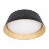Потолочный светодиодный светильник Loft IT Evans 10224 Black