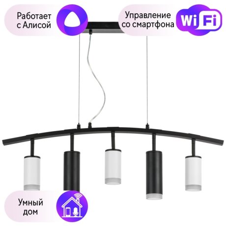 LR7353638720 Подвесной светильник Rullo Lightstar с поддержкой Алисы, (комплект из 571735+214436-3+214487-2+202430-5)