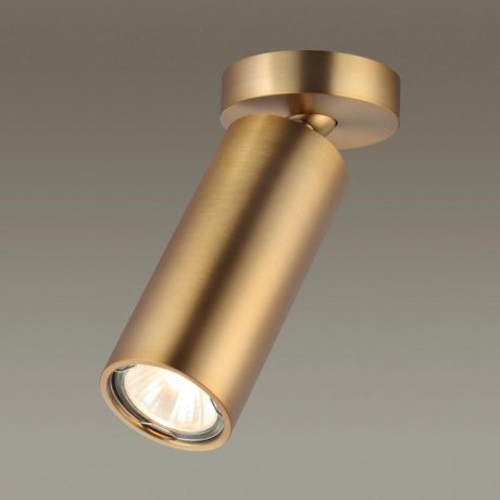 Потолочный поворотный накладной светильник Odeon Light Nino 4279/1C