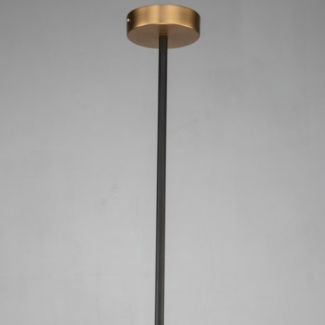 Подвесной светильник Favourite Roshe 2624-1P