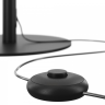 Торшер Maytoni Table & Floor Ray Z012FL-L18B3K