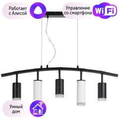 LR7353738620 Подвесной светильник Rullo Lightstar с поддержкой Алисы, (комплект из 571735+214437-3+214486-2+202430-5)