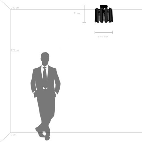 Потолочный светильник Lightstar Agave 712044