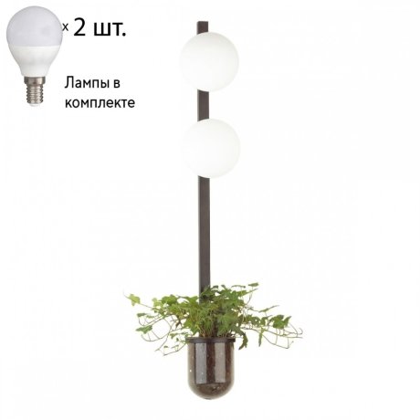 Бра с лампочками Odeon Light Flower 4681/2WA+Lamps E14 P45