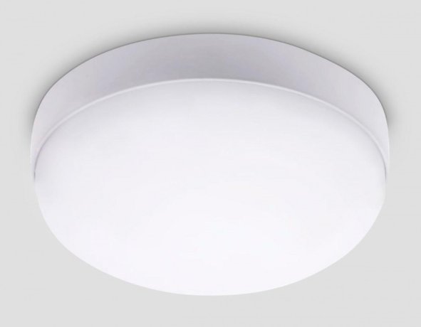 Накладной влагозащищенный светильник Ambrella light Street ST8631