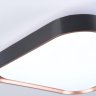 Потолочный светодиодный светильник Ambrella light ORBITAL FZ1265
