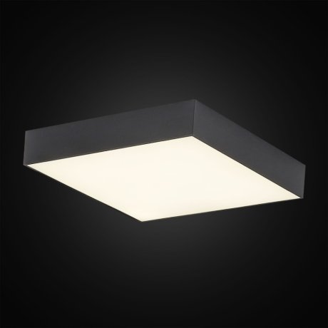 Потолочный светильник Citilux Тао CL712X242N