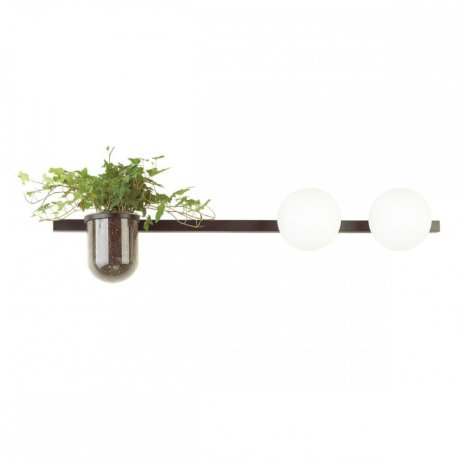 Бра с лампочками Odeon Light Flower 4681/2W+Lamps E14 P45