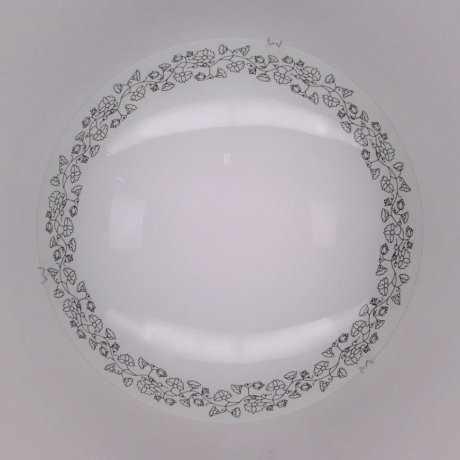 Настенный светильник Citilux Вьюнок CL917010