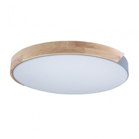 Потолочный светодиодный светильник Axel Loft It 10004/36 Grey