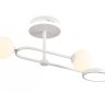 Потолочный светодиодный светильник с пультом ДУ Ambrella light COMFORT FL66221