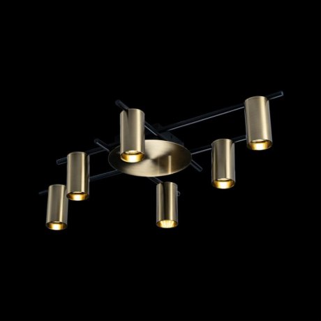 Люстра потолочная Loft It Tribes 8120C-6