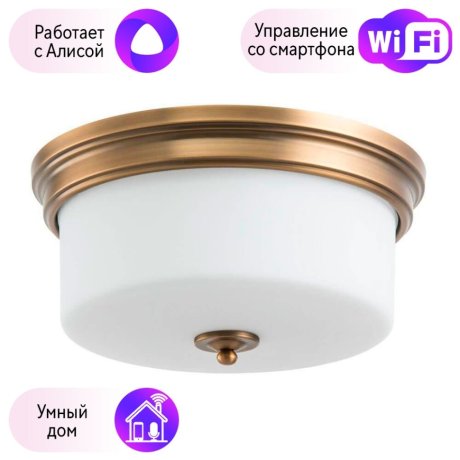 Потолочный светильник Arte Lamp с поддержкой Алиса A1735PL-3SR-A