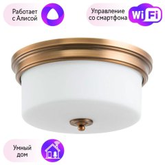 Потолочный светильник Arte Lamp с поддержкой Алиса A1735PL-3SR-A