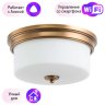 Потолочный светильник Arte Lamp с поддержкой Алиса A1735PL-3SR-A