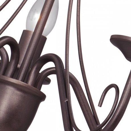 Потолочная люстра на штанге Vitaluce V1659/5PL