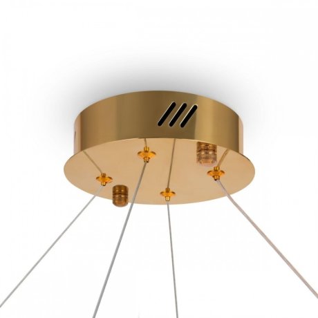 Подвесная диммируемая люстра с пультом ДУ Freya Tier FR5257PL-L32G