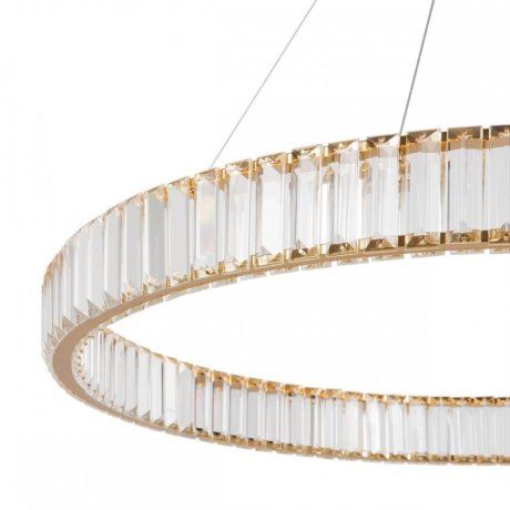 Подвесная диммируемая люстра с пультом ДУ Freya Tier FR5257PL-L32G