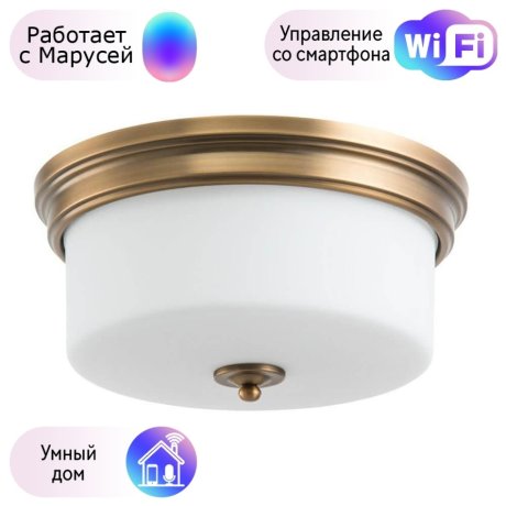 Потолочный светильник Arte Lamp с поддержкой Маруся A1735PL-3SR-М