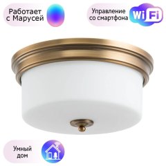 Потолочный светильник Arte Lamp с поддержкой Маруся A1735PL-3SR-М